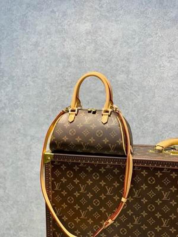 LV Handbags 102